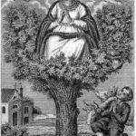 La Madonna dell’Incoronata: storia che attraversa i secoli (di Francesco Gentile)